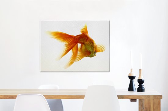 Les poissons rouges devant un fond blanc toile 2cm 80x60 cm - impression photo sur toile peinture Décoration murale salon / chambre à coucher) / Animaux sauvages Peintures Toile