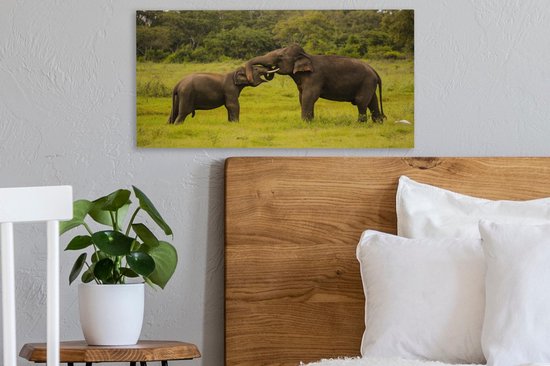 Deux éléphants de combat sur toile 2cm 30x20 cm - petit - Tirage photo sur toile (Décoration murale salon / chambre) / Animaux sauvages Peintures sur toile