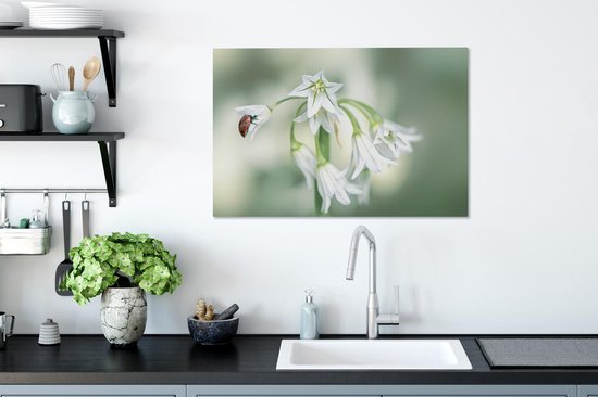 Tableau sur toile Coccinelle en gros plan sur fleur blanche - 90x60 cm - Décoration murale
