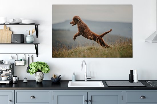 Caniche marron saute dans les airs 120x80 cm - Tirage photo sur toile (Décoration murale salon / chambre) / Peintures sur toile Animaux domestiques