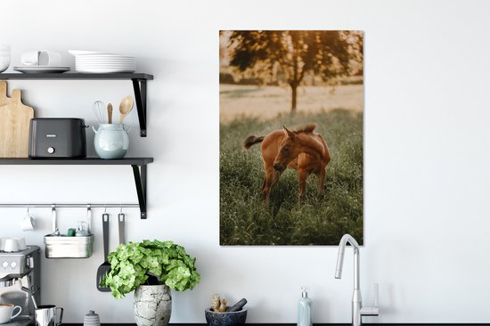 Quarter horse poulain regarde 40x60 cm - Tirage photo sur toile (Décoration murale salon / chambre) / Peintures sur toile Mammifères