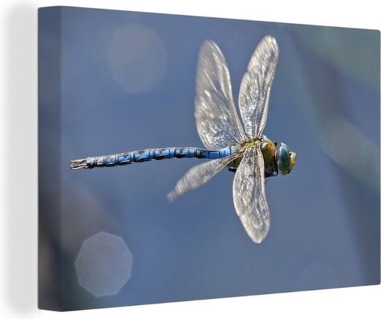 Libellule volante 180x120 cm - Tirage photo sur toile (Décoration murale salon / chambre) XXL / Groot format!