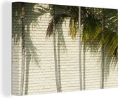 Canvas Schilderij De rij met palmbomen tegen een muur - 90x60 cm - Wanddecoratie
