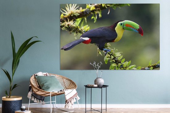 Tableau sur toile Un toucan sur une brindille fleurie - 150x100 cm - Décoration murale