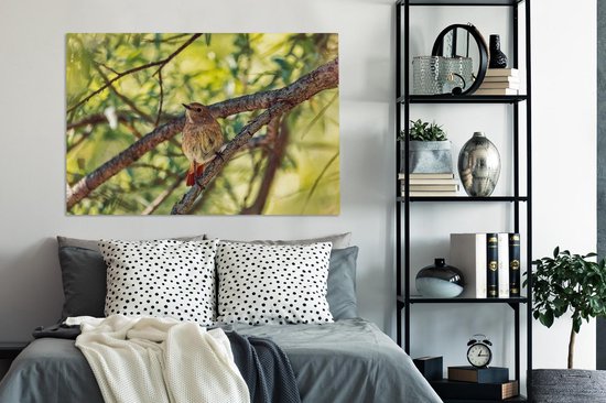 Un rougequeue à collier dans la forêt Toile 140x90 cm - Tirage photo sur toile (Décoration murale salon / chambre)