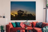 Canvas schilderij 160x120 cm - Wanddecoratie Silhouet van bomen bij zonsondergang in Krugerpark Zuid-Afrika - Muurdecoratie woonkamer - Slaapkamer decoratie - Kamer accessoires - Schilderijen