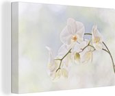 Canvas schilderij 180x120 cm - Wanddecoratie Witte orchidee tegen een vervaagde achtergrond - Muurdecoratie woonkamer - Slaapkamer decoratie - Kamer accessoires - Schilderijen