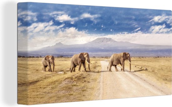 Canvas schilderij 160x80 cm - Wanddecoratie Drie overstekende olifanten - Muurdecoratie woonkamer - Slaapkamer decoratie - Kamer accessoires - Schilderijen