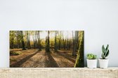 Canvas Schilderij Zonnestralen schijnen door de bossen van het Nationaal park New Forest - 40x20 cm - Wanddecoratie