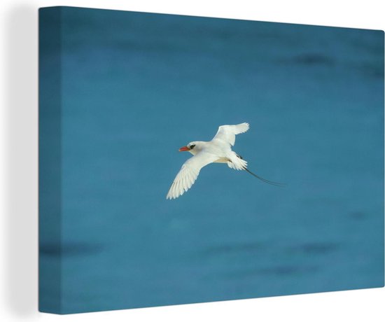 Roodstaartkeerkringvogel vliegt over de zee Canvas 120x80 cm - Foto print op Canvas schilderij (Wanddecoratie woonkamer / slaapkamer)