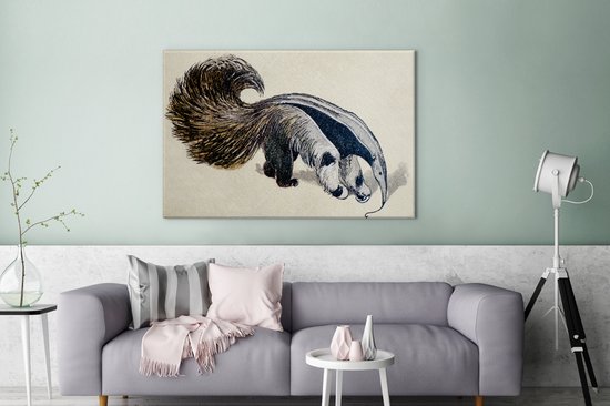 Une illustration antique d'un fourmilier géant 140x90 cm - Tirage photo sur toile (Décoration murale salon / chambre)