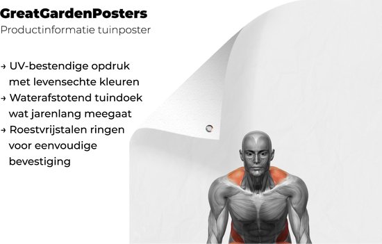 Une illustration de l'avant d'un poster de jardin deadlift 60x90 cm - Toile de jardin / Toile d'extérieur / Peintures d'extérieur (décoration de jardin)