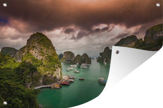 Cruiseschip in een baai van Vietnam - Tuinposter
