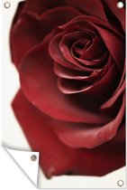 Close-up of a Red Rose Garden poster toile en vrac 40x60 cm - petit - Toile de jardin / Toile d'extérieur / Peintures d'extérieur (décoration de jardin)