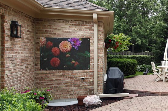 Dahlias avec différentes couleurs d'affiche de jardin en vrac