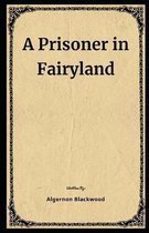 A Prisoner in Fairyland Illustrated