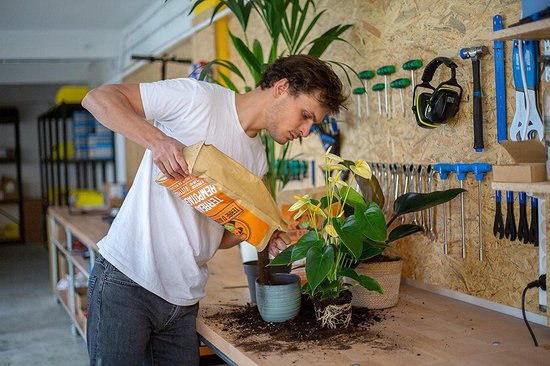 Terreau rempotage plantes vertes et fleuries Bio 5L - La Bonne Graine