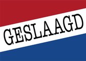 Geslaagd vlag