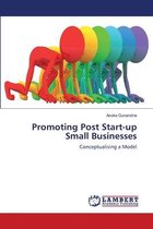 Promoting Post Start-up Small Businesses