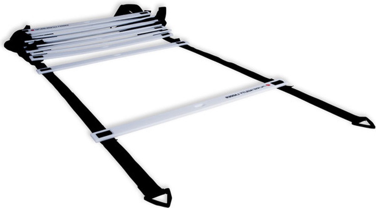Pure2Improve Agility Ladder