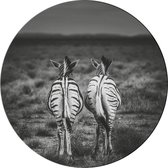 Muurcirkel  Zebra - buiten en binnen - dieren - tuindecoratie - Ø 50 cm