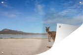 Muurdecoratie Strand - Kangoeroe - Australië - 180x120 cm - Tuinposter - Tuindoek - Buitenposter