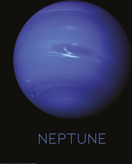 Neptune Art Print | Poster