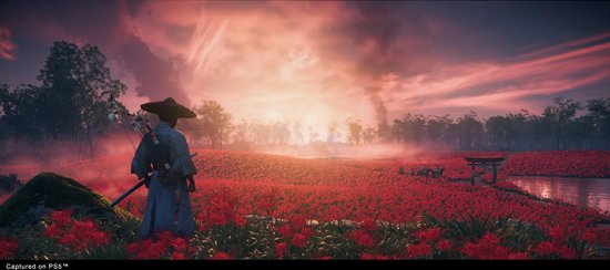 Samurai in blauwe kleding kijkt uit over een veld met rode bloemen bij zonsondergang.
