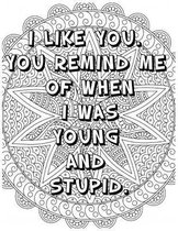 I Like You You Remind Me of When I Was Young and Stupid .: Adult Coloring Book