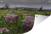 Tuinposters buiten Stenen in grasveld - 90x60 cm - Tuindoek - Buitenposter