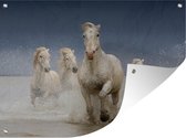 Muurdecoratie buiten Paarden - Water - Frankrijk - 160x120 cm - Tuindoek - Buitenposter