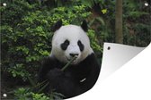 Tuinposters buiten Panda - Bamboe - Bos - 90x60 cm - Tuindoek - Buitenposter