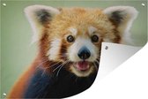 Muurdecoratie Rode Panda - Oranje - Zwart - 180x120 cm - Tuinposter - Tuindoek - Buitenposter