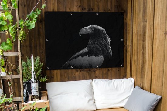 Affiche jardin - Toile jardin - Posters de jardin extérieur - Aigle - Gros plan - Bec - 120x90 cm - Jardin