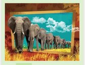 Schilderen op nummer Olifanten 3D 40x50