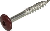 DAK&GEVEL KLEURKOPSCHROEF RVS-A2 WIJNROOD RAL3005 4.8x38   (50)