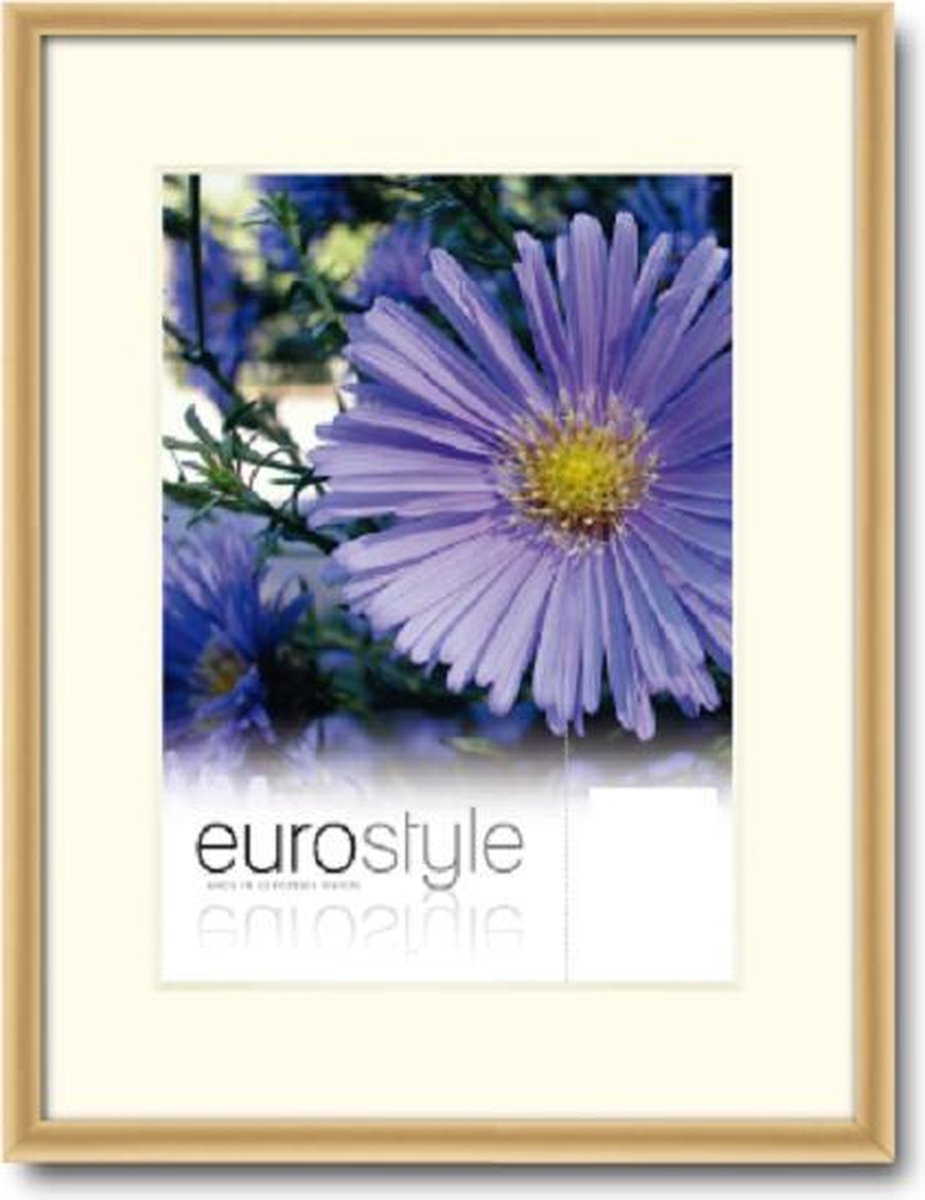 DFS Aluminium Fotolijst Es Goud 21x29.7 cm