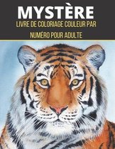 Mandala Magique Couleur Adulte Par Numéro: Un Adulte Présente Des Mandalas  Floraux, Des Motifs Géométriques Couleur Par Numéro, Des Tourbillons, Une  Couronne, Pour le Soulagement Du Stress Et la Relax 