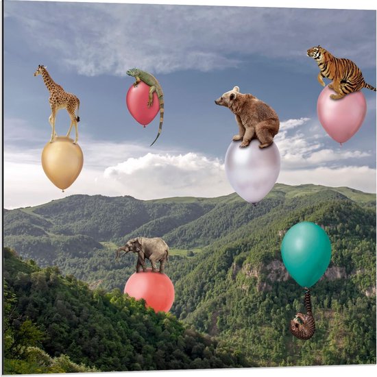 Dibond - Wilde Dieren op Ballonnen boven Landschap - 80x80cm Foto op Aluminium (Met Ophangsysteem)