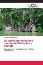 Lo que la genética nos cuenta de Rhizophora mangle