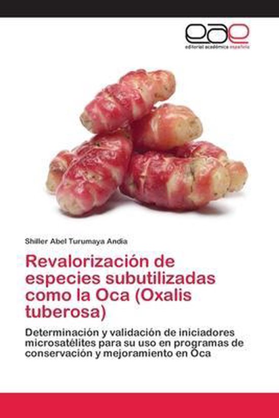 Revalorización de especies subutilizadas como la Oca (Oxalis tuberosa)
