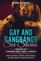 Gay and Gangbangs Sex Stories (2 Books in 1)