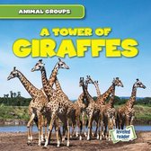Animal Groups-A Tower of Giraffes