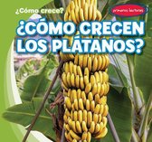 ?Como Crecen Los Platanos? (How Do Bananas Grow?)