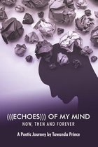 (((Echoes))) of My Mind