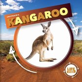 Life Cycle of a Kangaroo