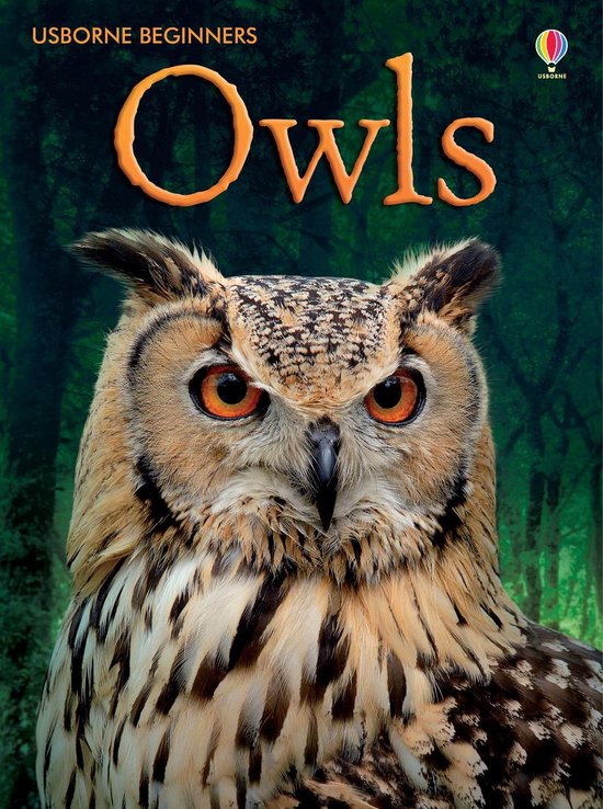 Usborne Beginners - Owls: For tablet devices: For tablet dev ... - cover