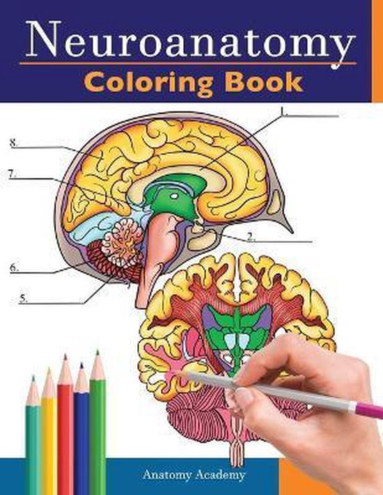 Neuroanatomy Coloring Book - cover