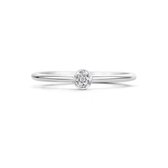 Blush 14 Karaat Witgouden Ring1199WZI/54 (Maat: 54)