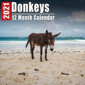 Calendar 2021 Donkeys